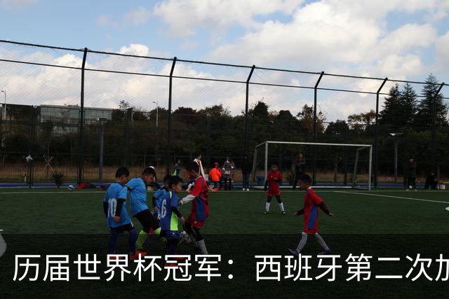历届世界杯冠军：西班牙第二次加冕，巴西五星德意各四星