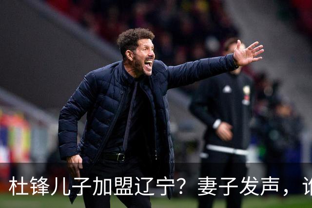 杜锋儿子加盟辽宁？妻子发声，谁注意妻子去向，计划曝光