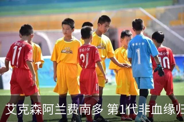 艾克森阿兰费南多 第1代非血缘归化国脚退出历史舞台